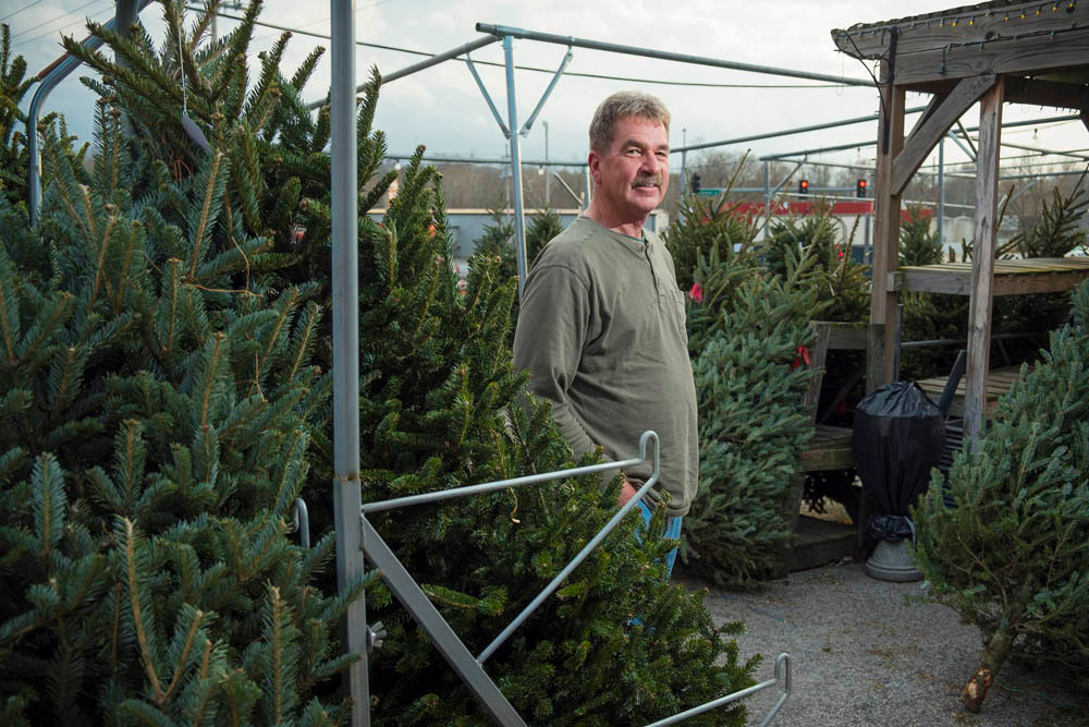 EVER GREEN: Owner Mark Wheeler expects to sell 450 Christmas trees this year.