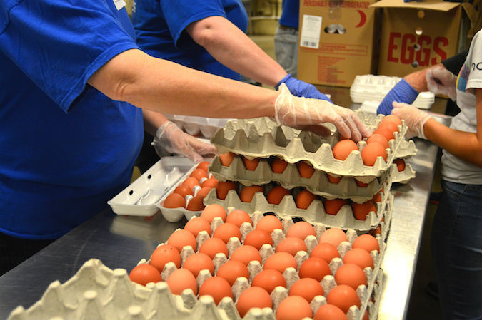 Ozarks Food Harvest volunteers sort eggs donated by Austin, Texas-based Vital Farms.Photo provided by OZARKS FOOD HARVEST