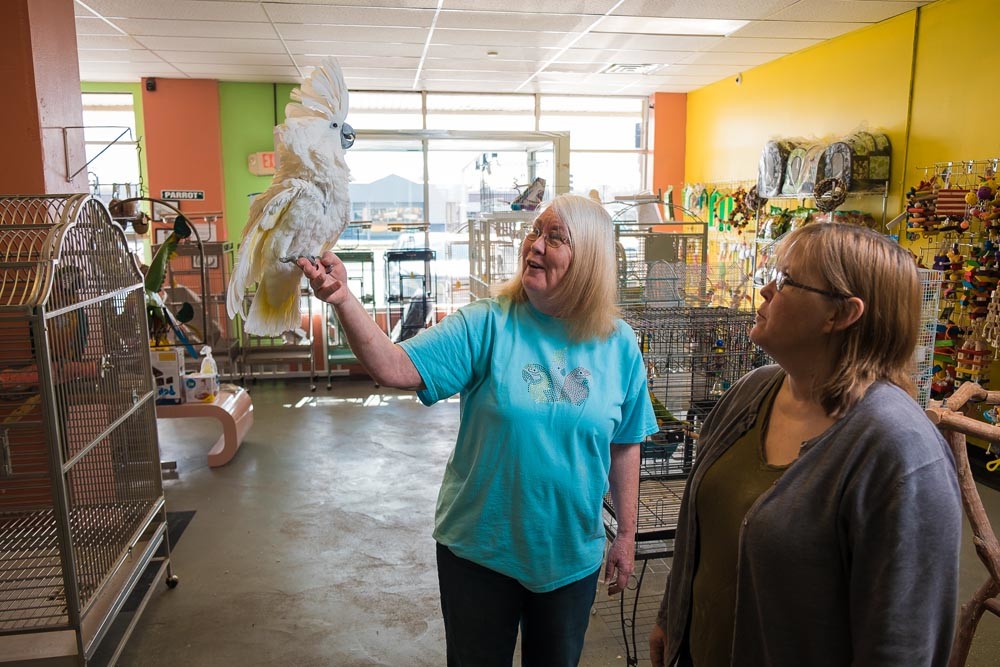 FEATHERED FRIENDS: Sharon Roberts, left, and her daughter Jennifer spend time with Sweet Pea, an umbrella cockatoo, after feeding the bird at their store.