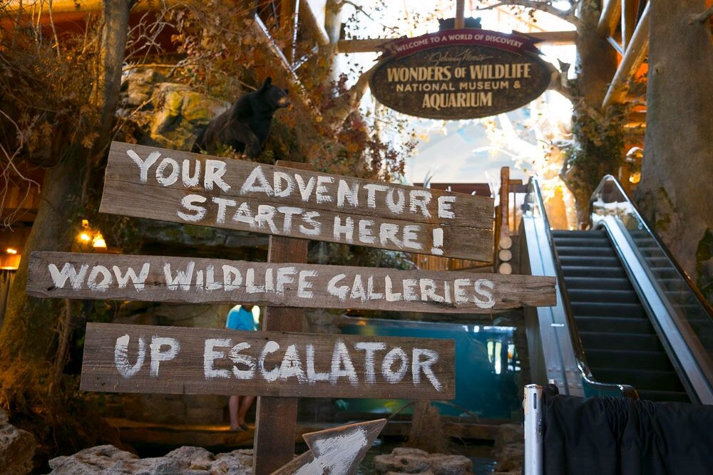 Wonders of Wildlife guests will enter through Bass Pro Shops’ main entrance on South Campbell Avenue and then travel up an escalator to the ticket booths.