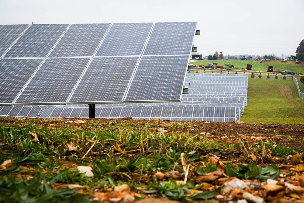 On a severely overcast day, the city of Nixa flipped the switch Nov. 14 to turn on what’s billed as the state’s largest solar farm. Officials say the 7.9-megawatt farm is now partially powering Nixa homes and businesses. Spanning 56 acres, nearly 33,290 solar panels stretch across the south side of Highway 14, just west of town. The solar farm is 72 acres in total.