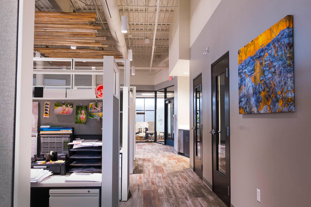 Interior Space
The office is designed with many windows and glass walls, allowing natural light to reach interior cubicles. The carpeting resembles distressed wood planks, and reclaimed barn boards hover above.
