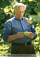 Ken Meyer inspects grapes at Meyer Farms Inc., his 30-acre vineyard southwest of Mount Vernon.