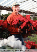 The greenhouse of Schaffitzel's Flower Shop is a sea of red. Manager Mike Schaffitzel says the family business has grown or purchased 650 poinsettias for the season.