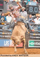 Missouri native Luke Snyder rides a 2,000-pound bull at a 2010 event in Ontario, Calif. His picture is on 3.8 million cans of Orange Crush as part of promotions for the PFIwestern.com Invitational presented by Bass Pro Shops.