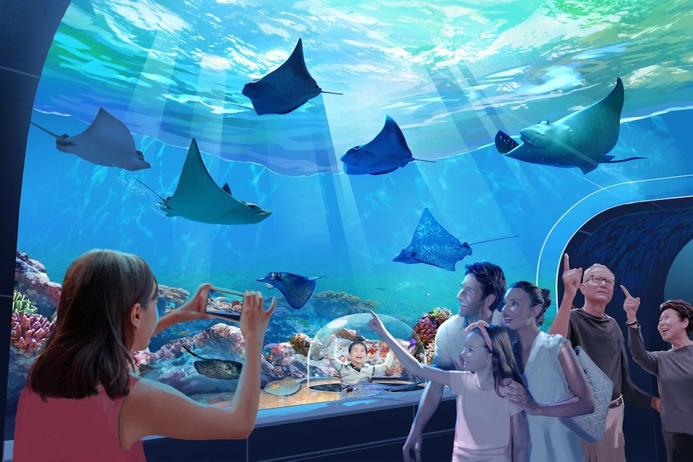 Customers can get a close-up view of stingrays.