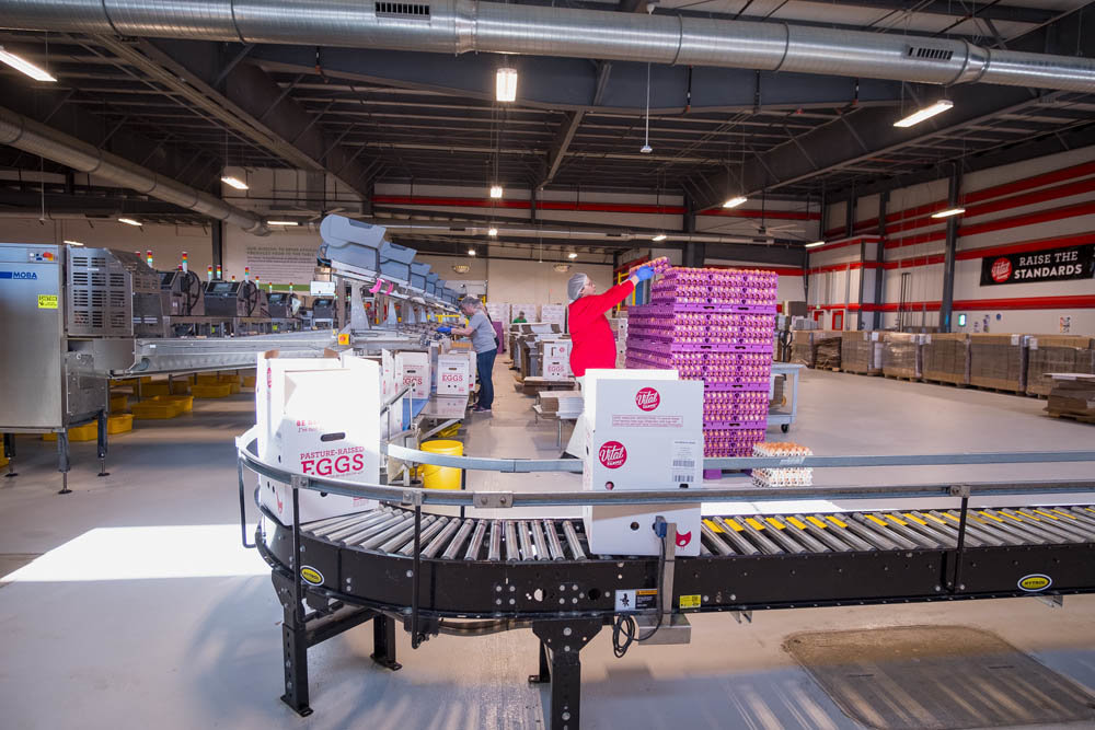 EGG CENTRAL: Vital Farms’ $17 million Springfield plant processes and packages the Austin, Texas-based company’s eggs.