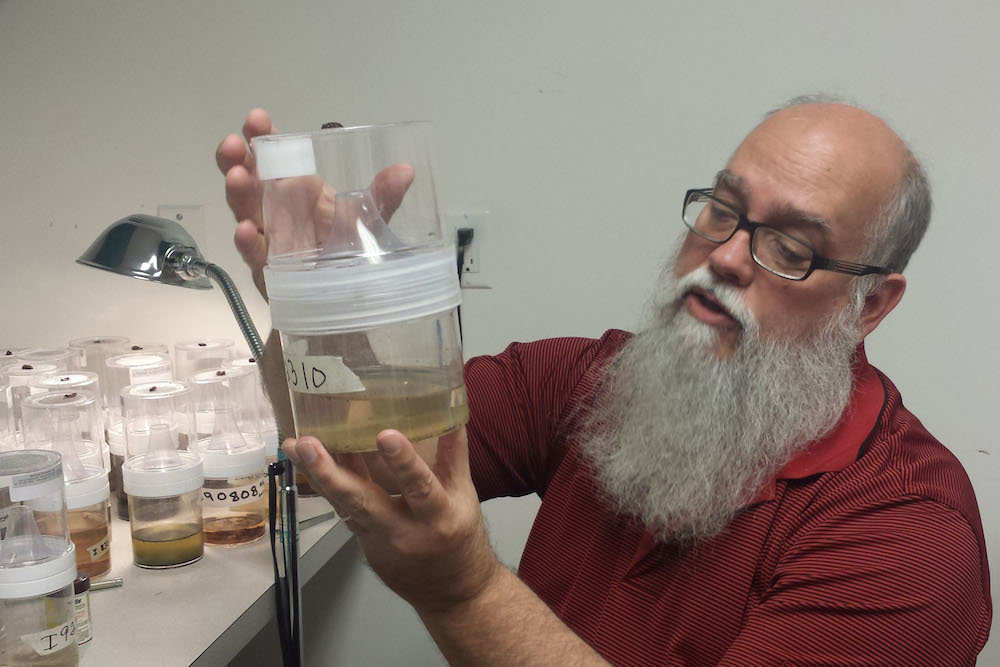 Professor David Claborn displays a collection of trapped mosquitoes. He was awarded more than $126,000 for his research into tick and mosquito borne diseases.