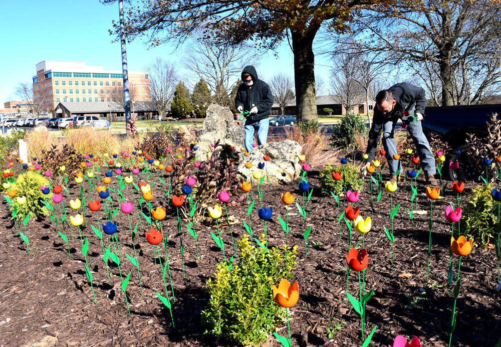 CELEBRATING SURVIVAL
CoxHealth employees install metal tulips, with each representing five COVID-19 patients who have been discharged. Approximately 300 flowers are being installed initially to represent 1,500 patients. The Arvest Bank Foundation donated $10,000 to cover the cost of the flowers.